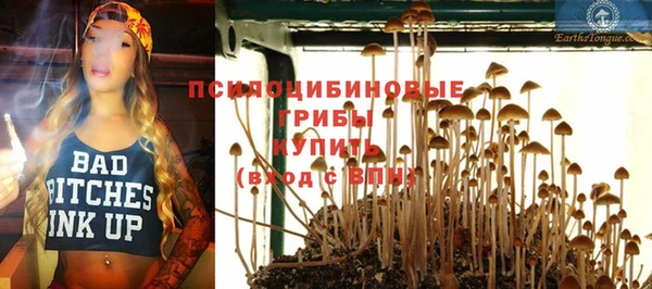 ALPHA PVP Карпинск