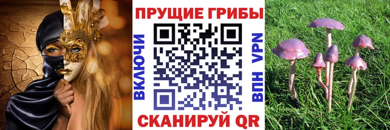 Псилоцибиновые грибы мухоморы  Купить  Серов 